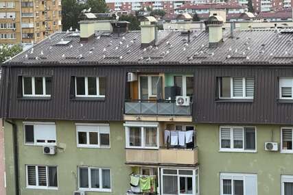 Galebovi zaposjeli zgradu na Grbavici. Jako su glasni i jako, jako "neuredni"