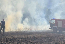 Požar kod Gruda pod kontrolom, izgorjelo 16 hektara šume, trave i niskog rastinja