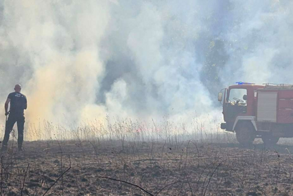 Požar kod Gruda pod kontrolom, izgorjelo 16 hektara šume, trave i niskog rastinja