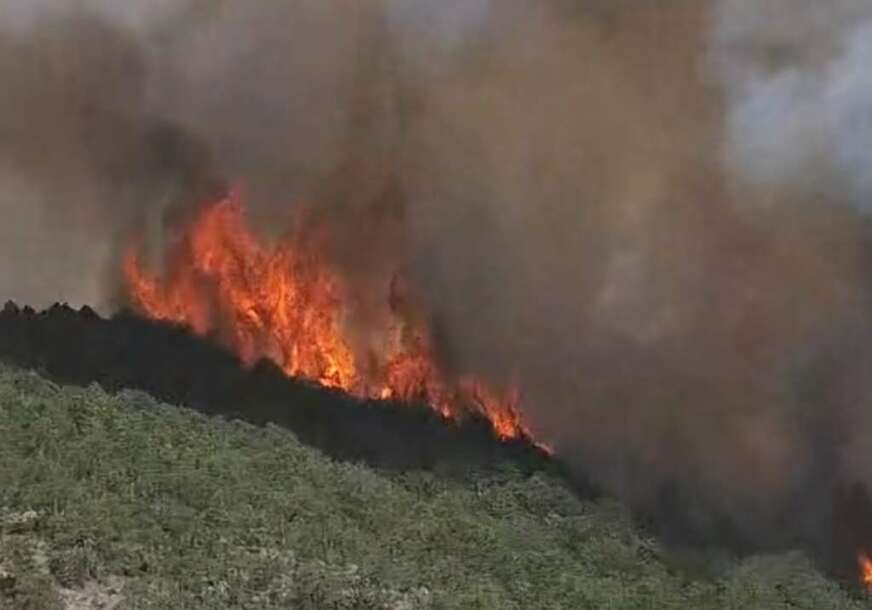 FOTO: ILUSTRACIJA
