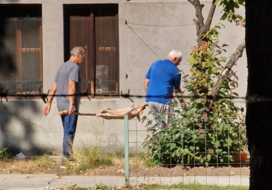 FOTO: SCREENSHOT