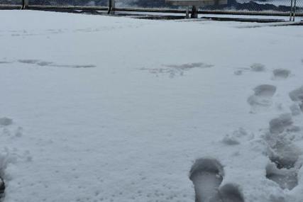 Pao je snijeg, izmjereno ga je 8 centimetara: U BiH stižu dvije promjene vremena