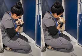 (VIDEO) Pas se bojao pregleda, potez veterinarske asistentice oduševio je hiljade