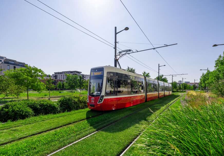 FOTO: (C) WIENER LINIEN/ SIMON WÖHRING                                                                      (C) TIMO PEISCHL