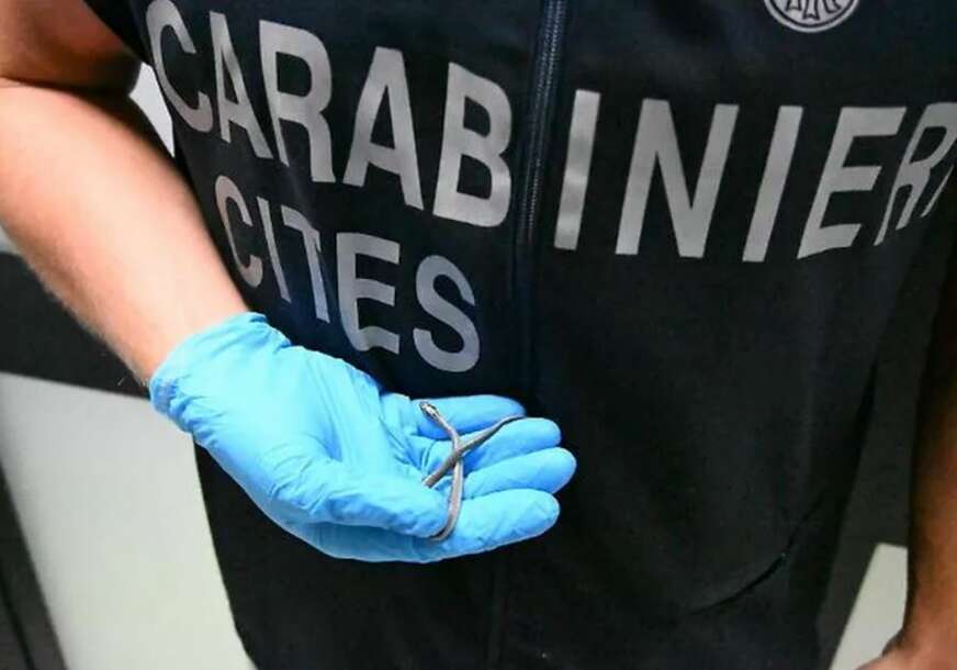 FOTO: POLICIJA