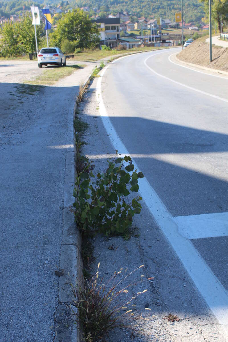FOTO: ESET MURAČEVIĆ