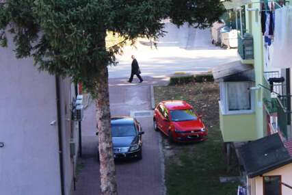 NAŠA POSLA Briga mene za zelenu površinu
