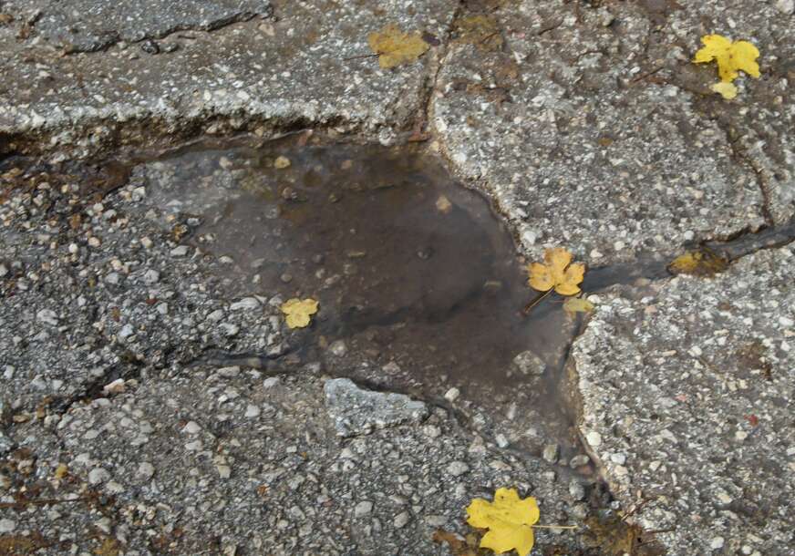 FOTO: E. MURAČEVIĆ
