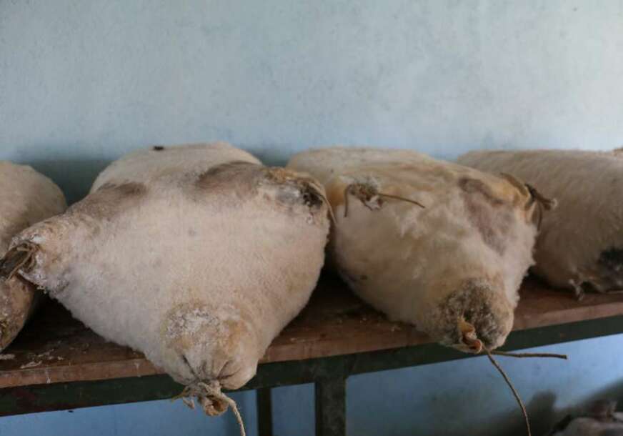FOTO: AGRONOMSKI I PREHRAMBENO-TEHNOLOŠKI FAKULTET SUM