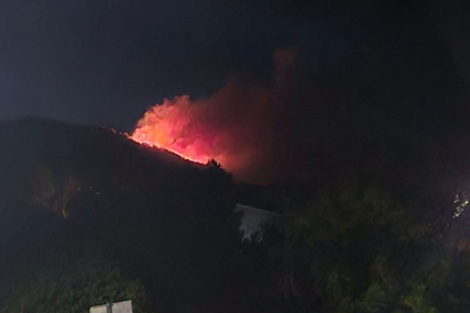 Buknuo šumski požar kod Dubrovnika, vatrogasci na terenu